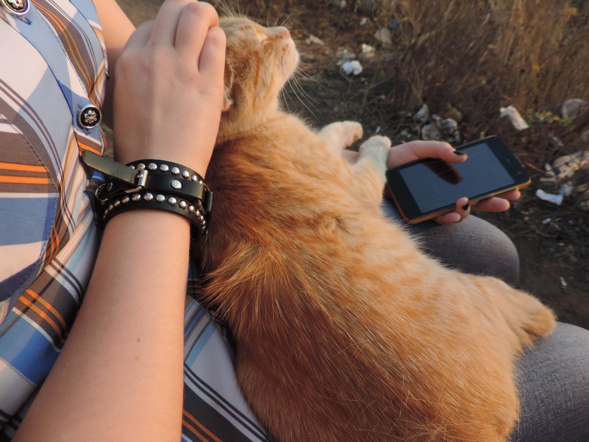 NeilyFox's tweet photo. Немного милостей на выходных :3
Неожиданная фотка от @kakie_kay, я даж не заметил х) http://t.co/HbKt9oNaTO