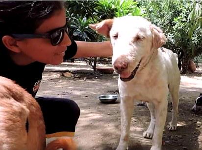 This video of a dying dog being nursed back to health is heartwarmingly beautiful bzfd.it/1iXfcMB