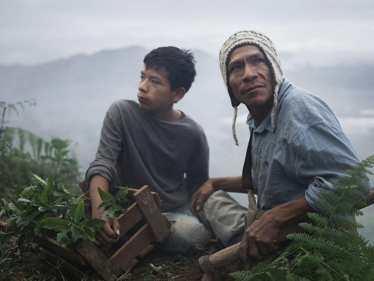 joeyldotcom's tweet image. The Mancilla family- father &amp;amp; son coffee growers from Villa Rica, Peru. #EarthDefenders joeyl.com/portfolio/cate…