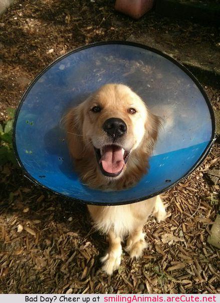 NaNanidemo's tweet photo. #cute #aww #adorable #smile #animals - http://t.co/MUM0txBYc5 http://t.co/OJl03QGSYM