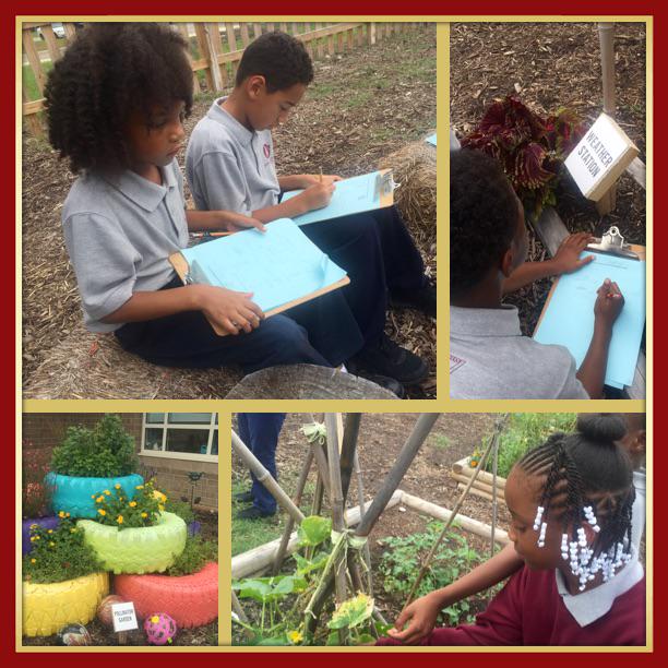 marietculver's tweet photo. Second graders proving system generalizations to be true @SeatackAADA #community garden #love https://t.co/1nSyzrKWuw http://t.co/fpUqxyDiAO