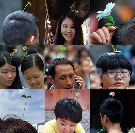 so_sohappy's tweet photo. New fashion craze in Beijing.. to wear a sprout on top of your head So cute! Someone find me a sprout! #SproutCore http://t.co/aIiolpDXWx