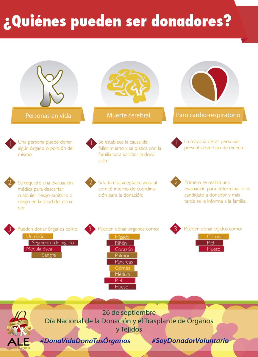 AleAsociacion's tweet photo. Conoce los órganos y tejidos que podemos donar #SoyDonadorVoluntario #DonaVidaDonaTusÓrganos http://t.co/LF7MO8KPMG