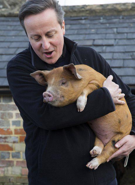 DmitriyVeret's tweet photo. #внезапно
Мясная лавка в Лондоне.
#четаржу #cameronpig http://t.co/PhtOI94bbA
