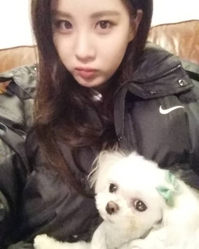 periodyy96's tweet photo. [SEOSTAGRAM] seojuhyun_s: "사실..그동안 여러분께 말씀드리지 못한 슬픈소식이 있어요..
마음을 정리하는데 꽤 오랜 시간이 걸려서 이제야 소식… http://t.co/VNJ6NlPY9L http://t.co/Lvlci4NlC3