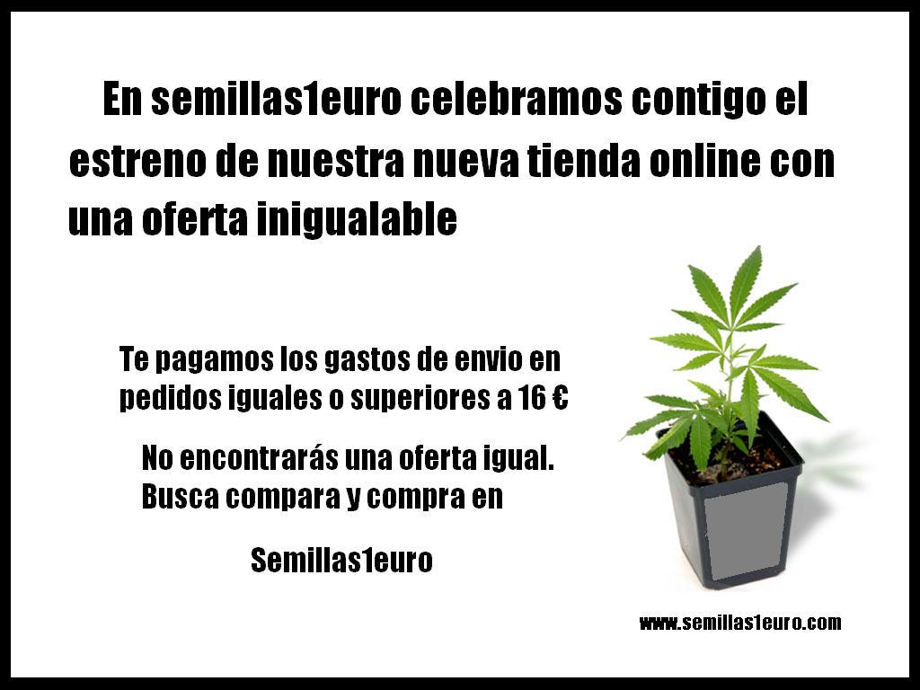 Semillas1Euro's tweet photo. http://t.co/TYh6OmIfDW
