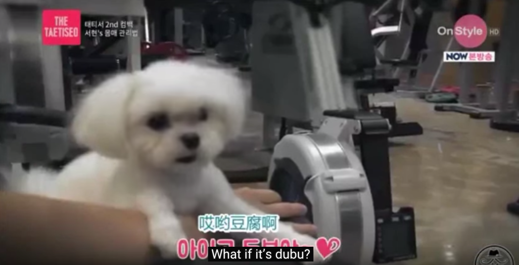 SeohyunPoint's tweet photo. "Imagine there's money in front of you. Run"
"I'm not interested in money. I won't run."
"What if it's Dubu?" http://t.co/sNY5UWrDW8