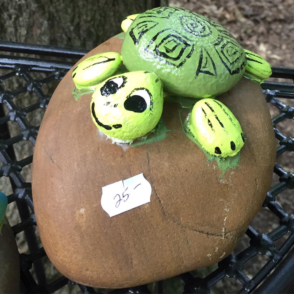 magjo28's tweet photo. #iliketurtles #iloveturtles #yankeepeddler #turtleclass #turtleteacher http://t.co/zzX7UPyKZY