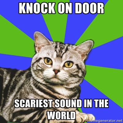 N685DA's tweet photo. #IntrovertCat http://t.co/7i9aRpw2GV