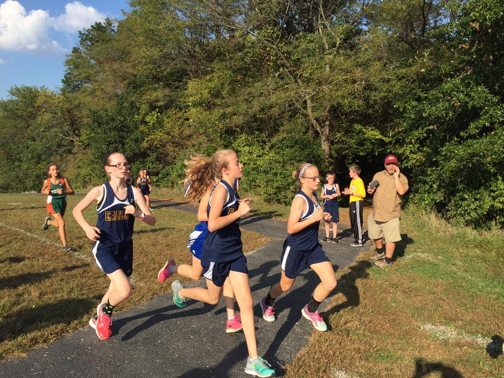 Robin Lewis tweet media