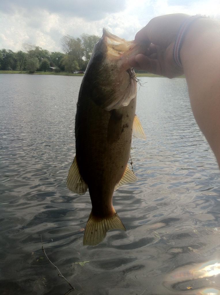 FishingMichiga1's tweet photo. http://t.co/2q0quul3ua