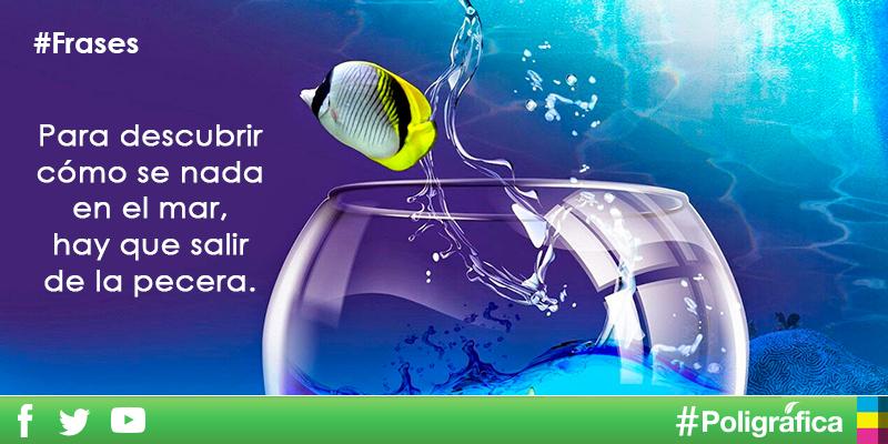 PoligraficaEc's tweet photo. #Frases, para descubrir cómo se nada en el mar, hay que salir de la pecera. http://t.co/OHb8PJaIop