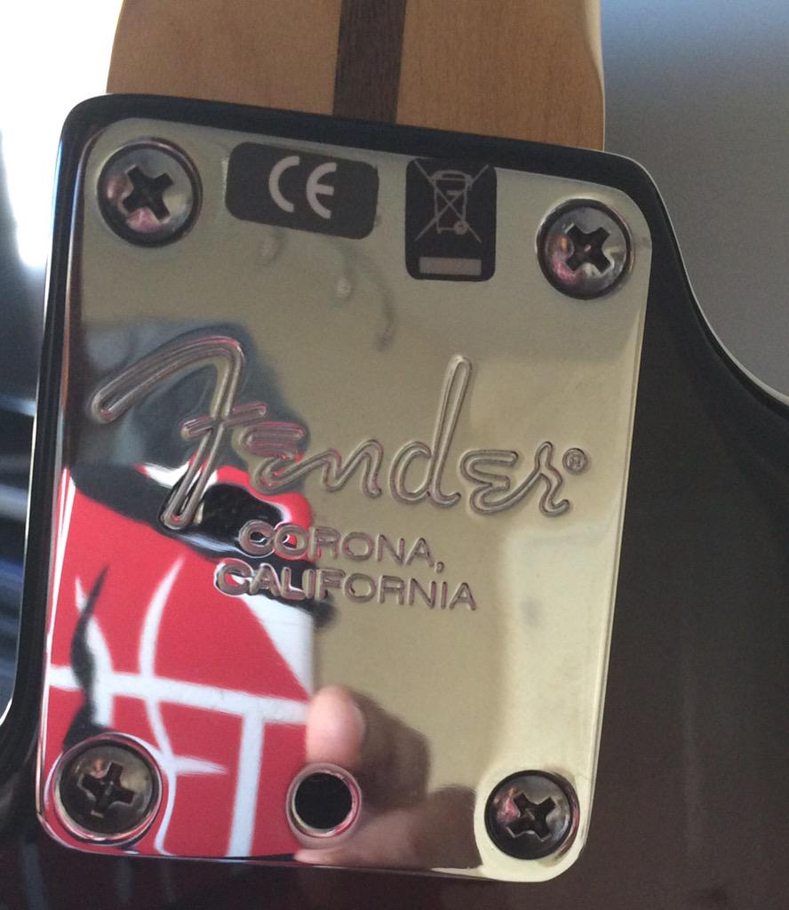 More of my <a href="/Fender/">Fender</a> and <a href="/VanHalen/">Van Halen</a> mind explosion #Guitar #EVH