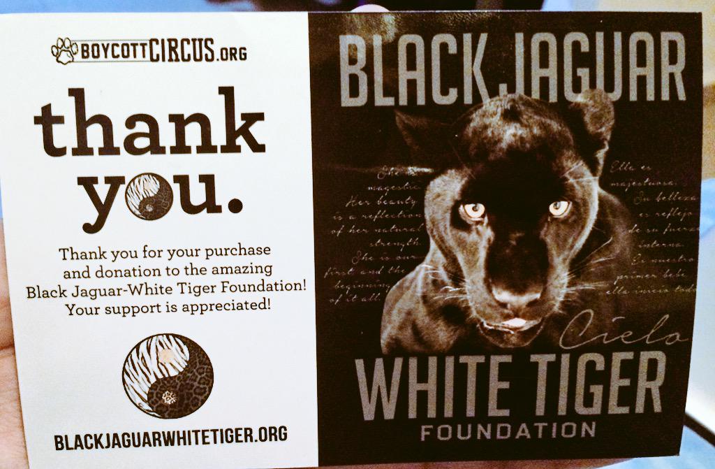 Estoy muy, muy feliz de por fin poder ayudar tantito a todos estos gatotes <a href="/BJWTC/">blackjaguarwhitetige</a>