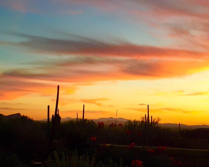 Went off Twitter for the summer but came back this week.  Life is finally settling down... in Tucson<a href="/tag/throwbackthursday"class="tags"><span>#throwbackthursday</span></a>