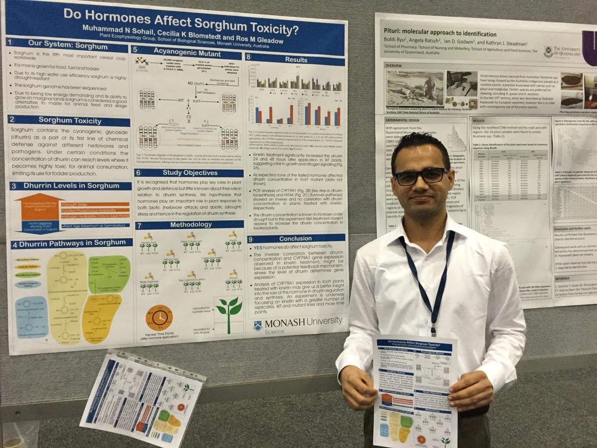 MN_Sohail's tweet image. Sorghum is toxic!
Didn&apos;t know that? 
can&apos;t me vis t my poster #46 #asps_ozplants
#combio2015