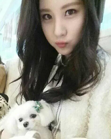 NNseo_Whipping's tweet photo. 2013.7.3 &amp; 2015.9.29 #GoodByeDubu จากวันแรกจนถึงวันนี้ ขอบคุณนะที่คอยมอบความสุขให้กับพวกเราและกับซอฮยอน หลับฝันดีนะ☺ http://t.co/Zgw1PJrlVS