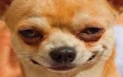 ttacticalsquad's tweet image. 