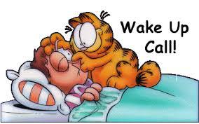 MonkeyFormula's tweet image. New Season – 1st October monkeyformula.com/new-season-1st…