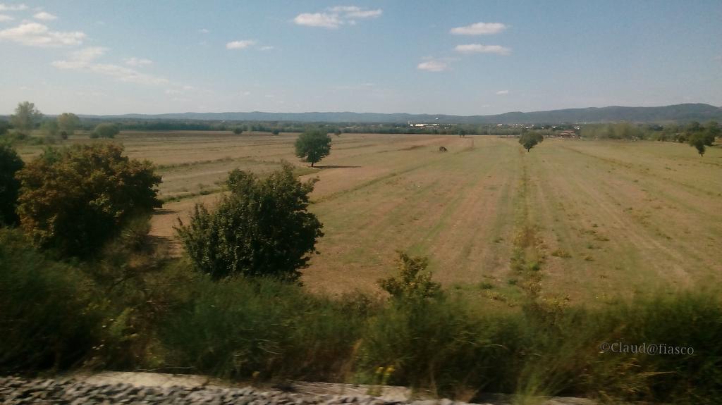 merdeme67's tweet photo. An amazing expanse of yellow #landscape #yellowfall #photography http://t.co/iAwQ25lu58