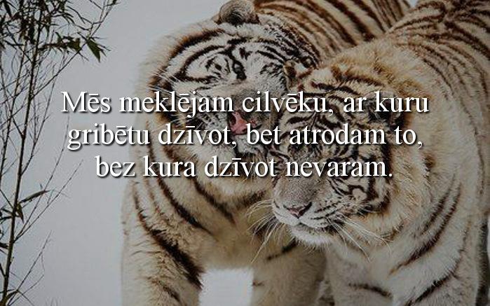 dzentlmenis tweet picture