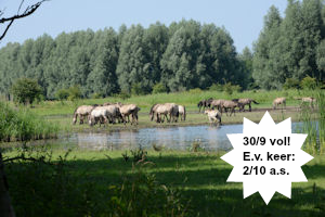 Puur Zeewolde tweet media