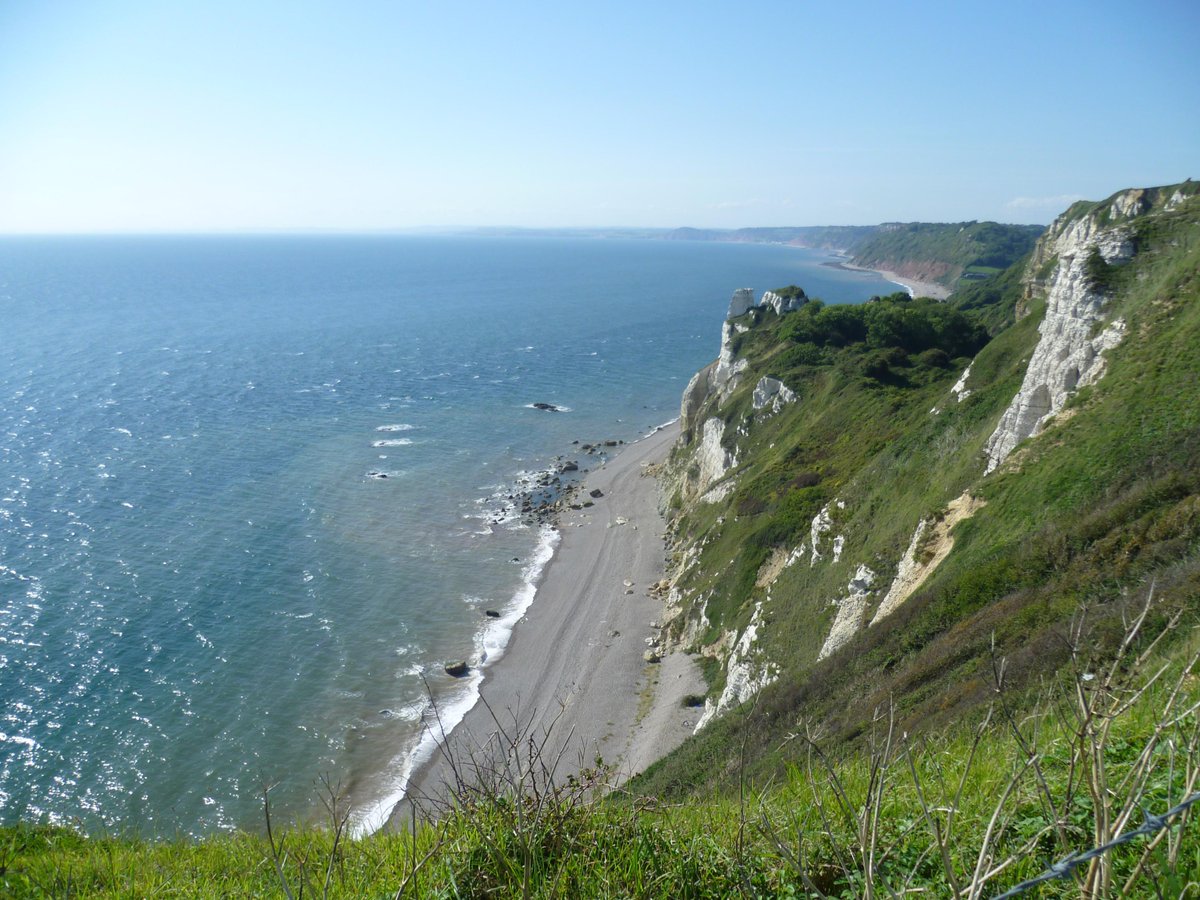 Philip Warner tweet media