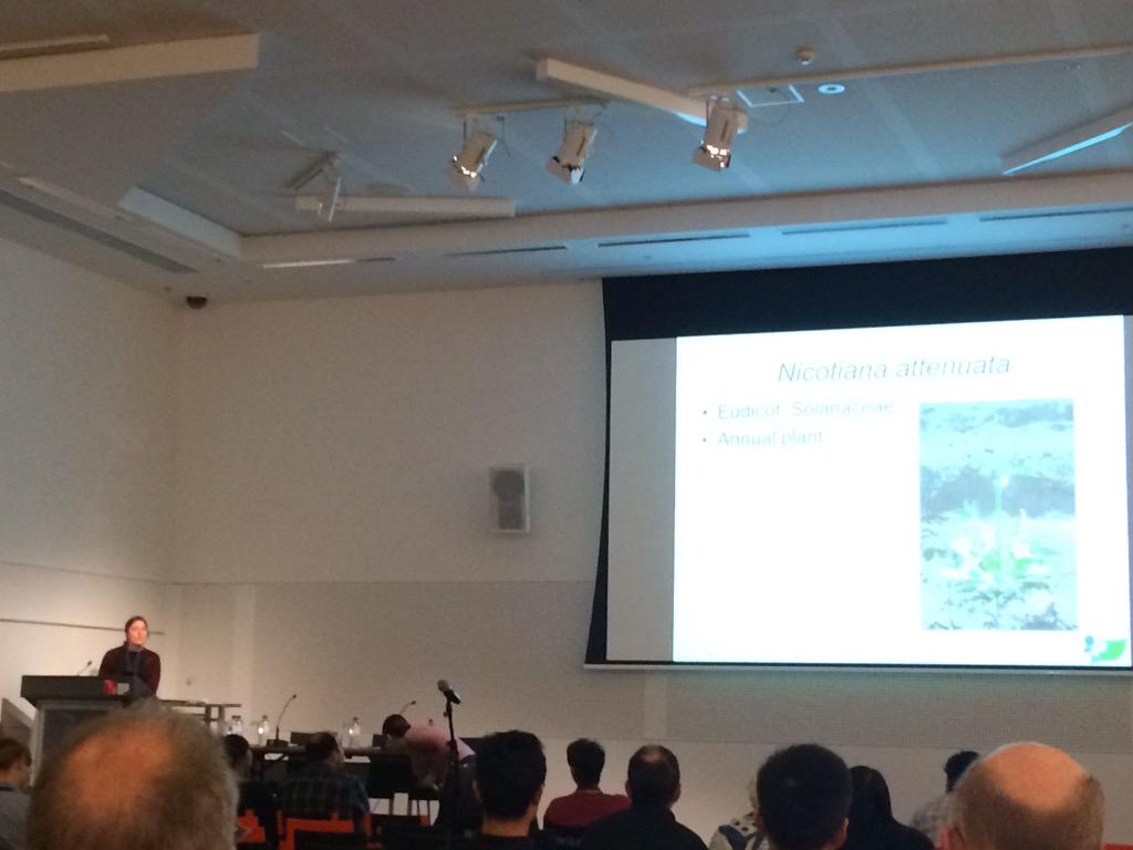 RosGleadow's tweet image. Heidi Dalton phd student in our lab  presents her research #combio2015 on effect of circadian clock on plant defense