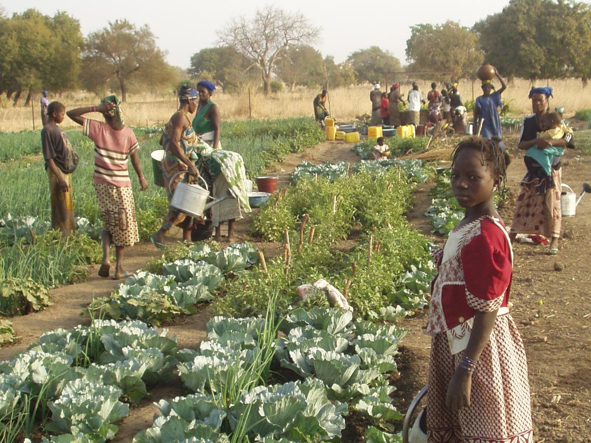 Peut-on éradiquer la faim d'ici 2030? Table ronde le 7 octobre à 18h30 - Palais Eynard 
fgc.federeso.ch/events/journee…