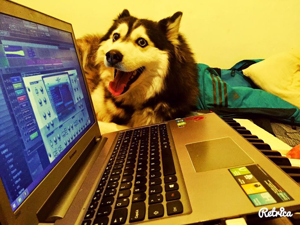 SahibimO's tweet photo. Husky yeni ailesini arıyor #ankarahayvansahiplendirme #sahibimolurmusun http://t.co/SLCa6Ma4Ax http://t.co/XRYHNV5gda