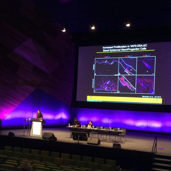 DrMegsW's tweet image. .@amoz1972 presenting her beautiful images from her lab group at UNSW #ComBio2015