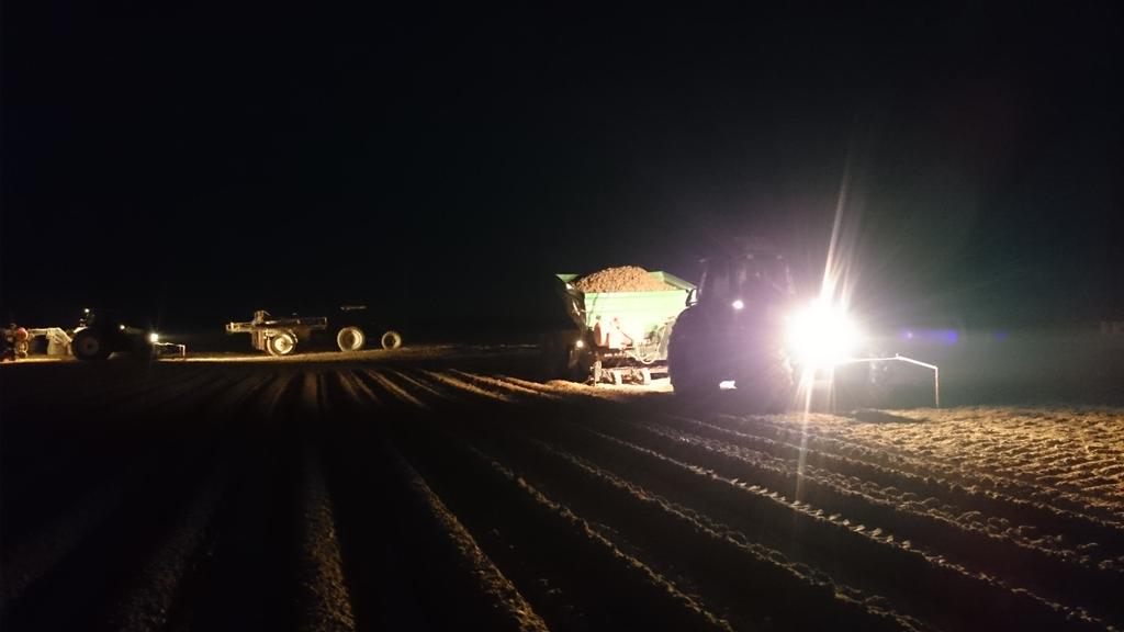 rickwes's tweet photo. Ondertussen alweer 2 weken aan het poten in Egypte, ivm hoge temperaturen alleen 's nachts zover #harvest16 http://t.co/kvJJ4kygVz