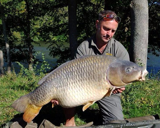 impactbaits's tweet image. 