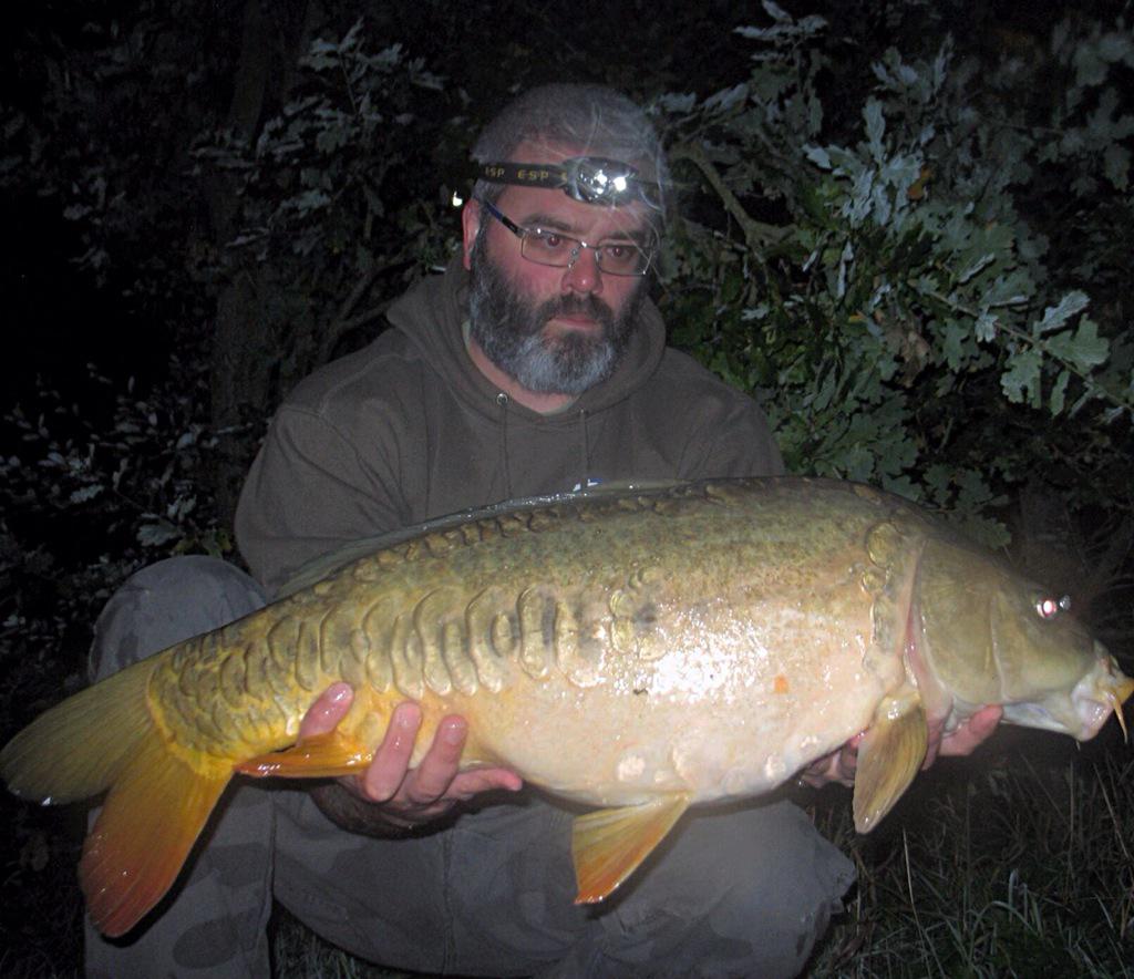 impactbaits's tweet image. 