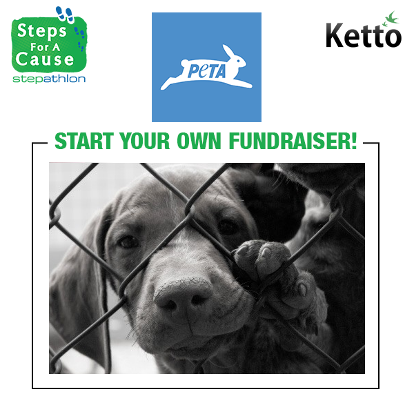 Stepathlon's tweet photo. Give voice to the voiceless &amp; put an end to animal cruelty.Join #StepsForACause-a Stepathlon-@ketto initiative @peta http://t.co/7KUjBD3LUo