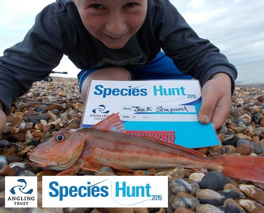 Calling all sea anglers! Have you registered for the great #specieshunt ? Full details bit.ly/1MWYBos