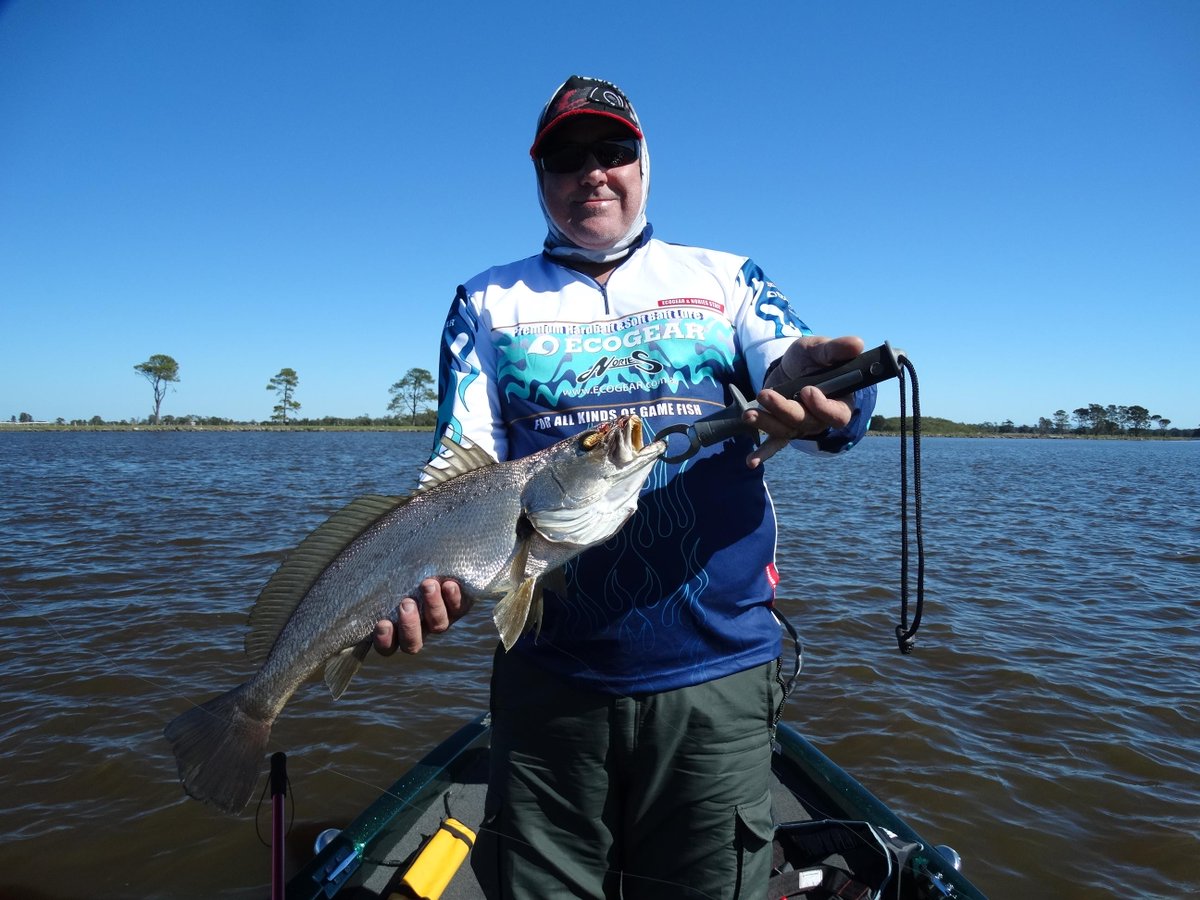 ProBreamFish's tweet image. 