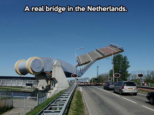 Civil engineering genius - #LOL! #civilengineer #genius #engineeringgenius