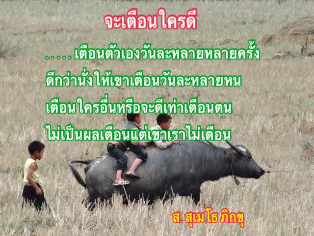 SSumeto's tweet image. 