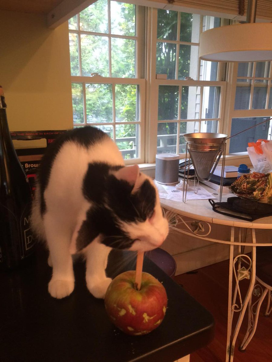 DonnaThorland's tweet image. Finn *helping* with the caramel apples #salemproblems @DestSalem @russellorchards @WLNorthOfBoston @SalemWGNA