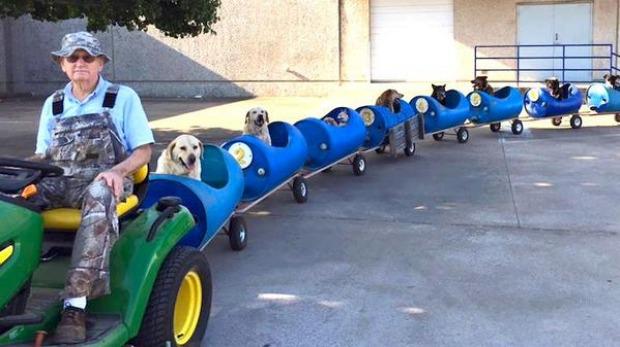 Parcelgenie's tweet photo. All aboard! Animal lover Eugene Bostick has touched hearts globally with this creation: http://t.co/qwLbg87Fe5 http://t.co/PQ3yVBThp2