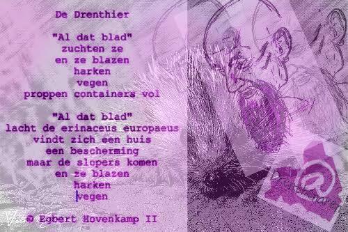 Ziehier, de nieuwe Drenthier een beetje herfst voor alle <a href="/Drenthenaren/">Drenthenaren</a> #drenthe #herfst #dichter #assen #vallendblad