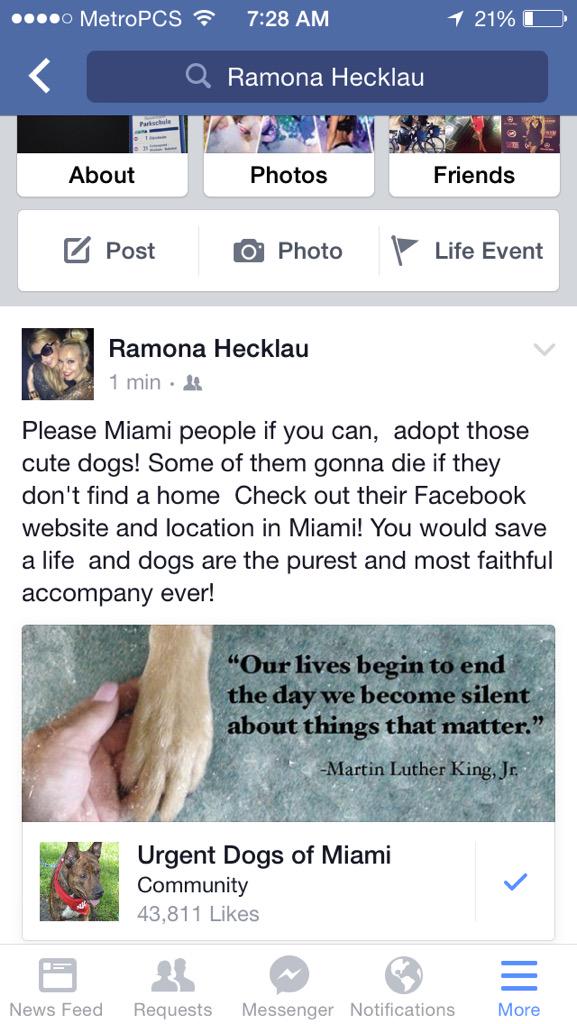 RamonaHilton's tweet photo. Just shared this on my Facebook page @UrgentDogsMiami @ParisHilton #spreadtheword #help #addopt #miami http://t.co/SvYAxUdYaZ