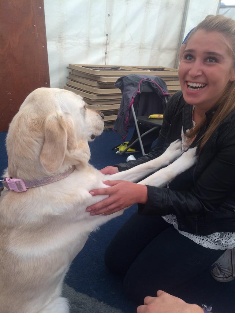 GatewayJCR's tweet photo. Come along and see the guide pups on campus! @gdfunsoton @YourSUSU #gloriousgateway http://t.co/6V2r5zedDD