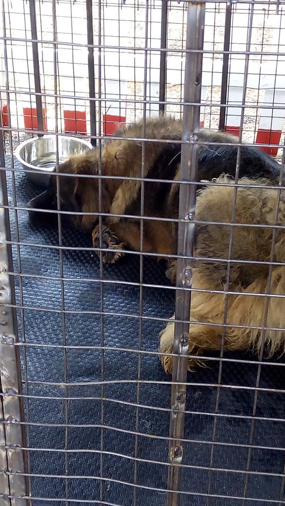 brian mbugua (@brianmbugus) on Twitter photo 