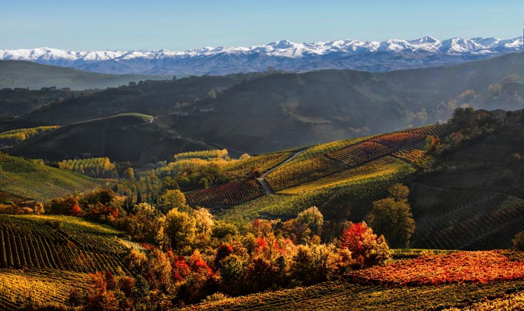 LaVanguardia's tweet photo. Diez postales de otoño http://t.co/bq24VPaFIX http://t.co/2zoYwGz7Hh