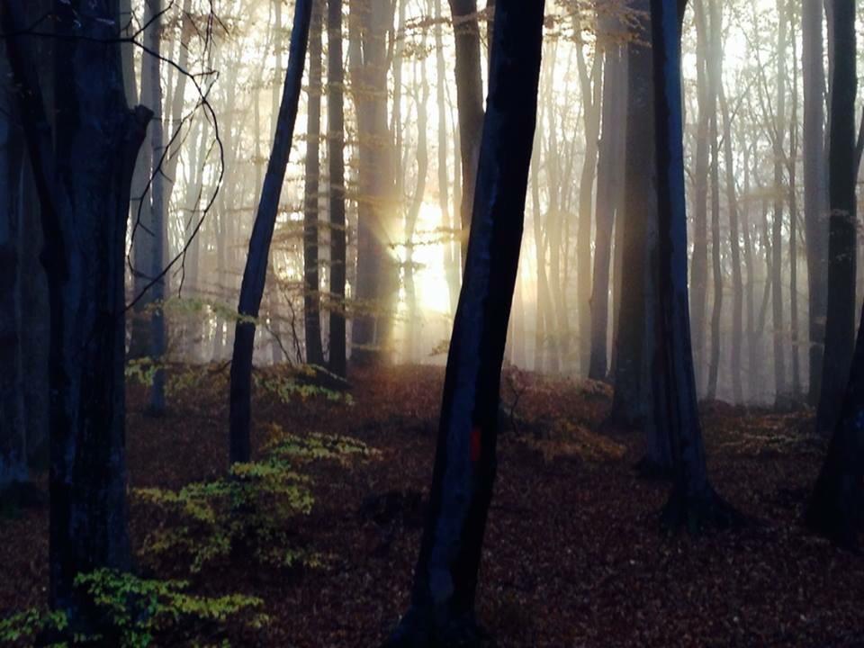 K. Hurst tweet media