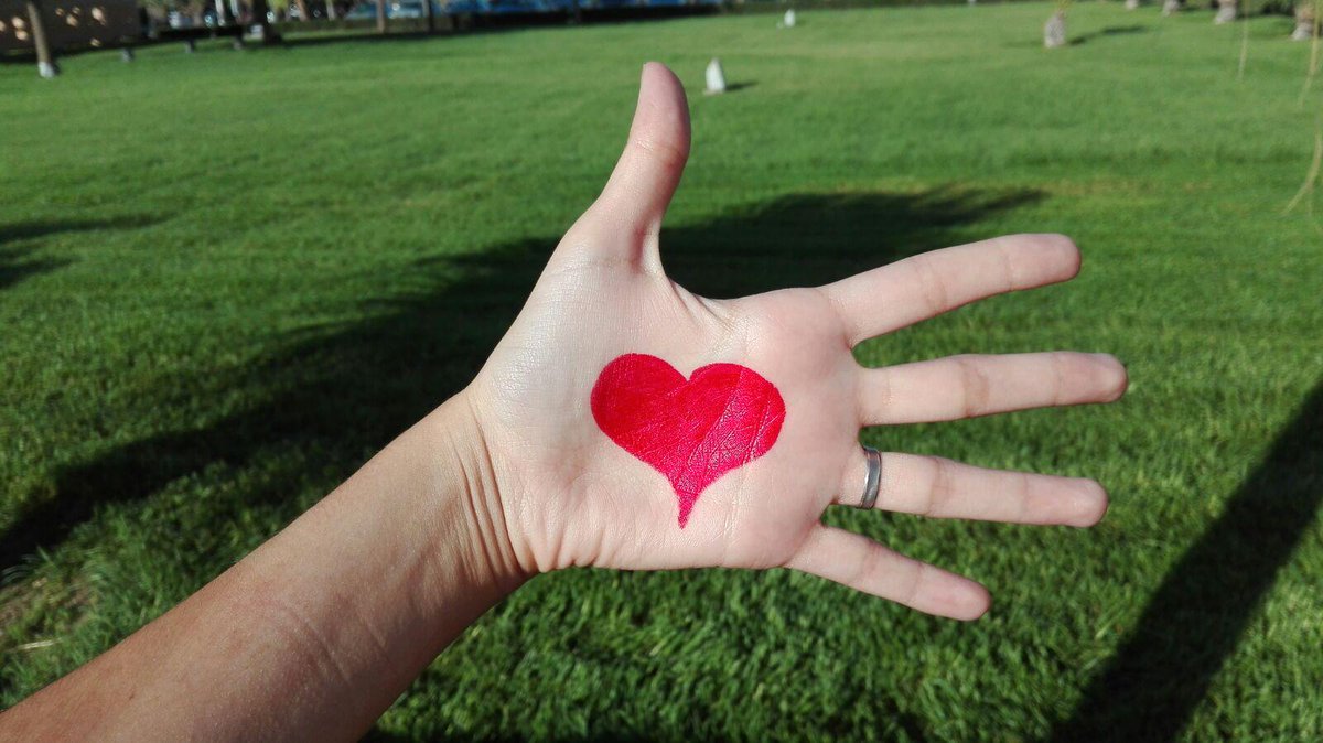 UniversidadMH's tweet photo. El #corazón es el motor principal de nuestro cuerpo.Practica #deporte y ten hábitos saludables. #DíaMundialdelCorazon http://t.co/GiY48fOFan