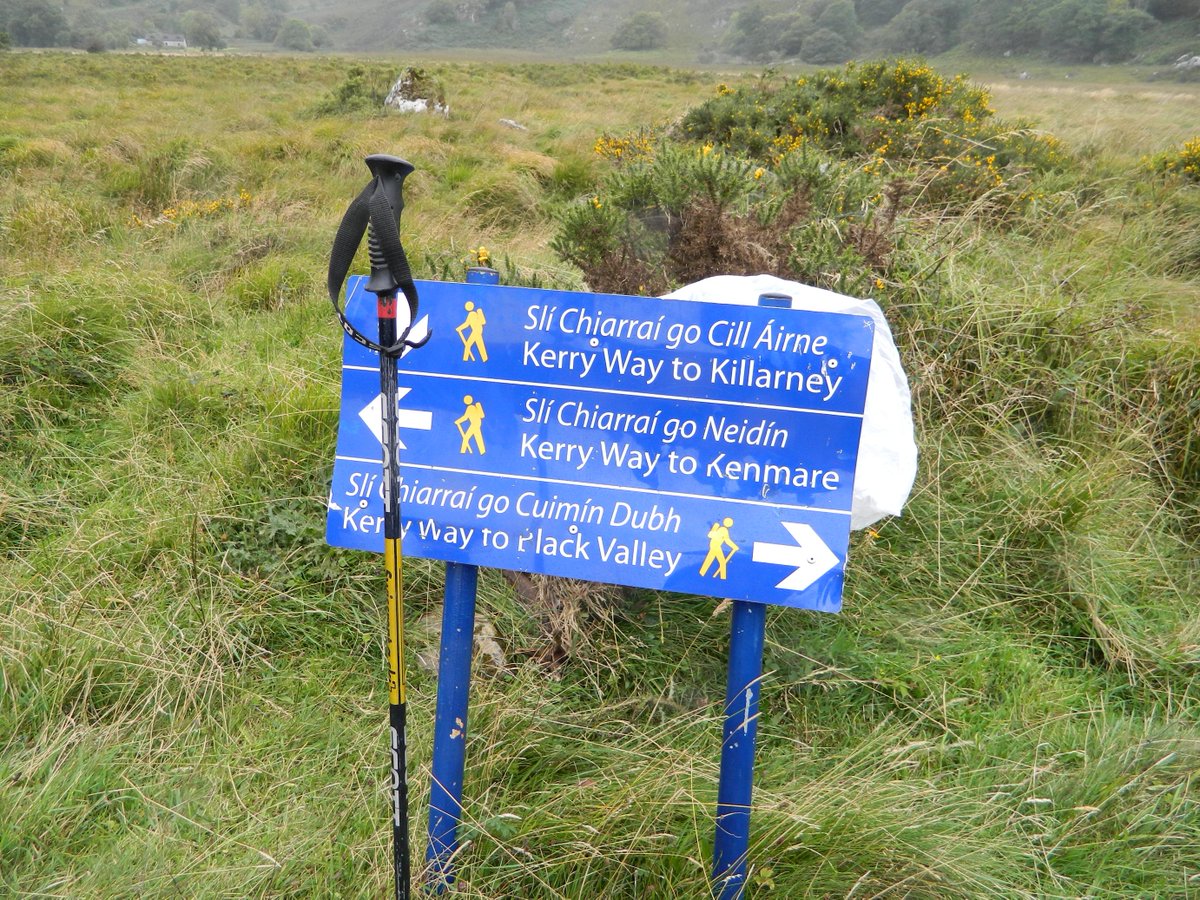 ExigentNetworks's tweet photo. What an amazing day we had Saturday walking along ' The Old Kenmare Road' in aid of @ywirl http://t.co/JLFufvII7H