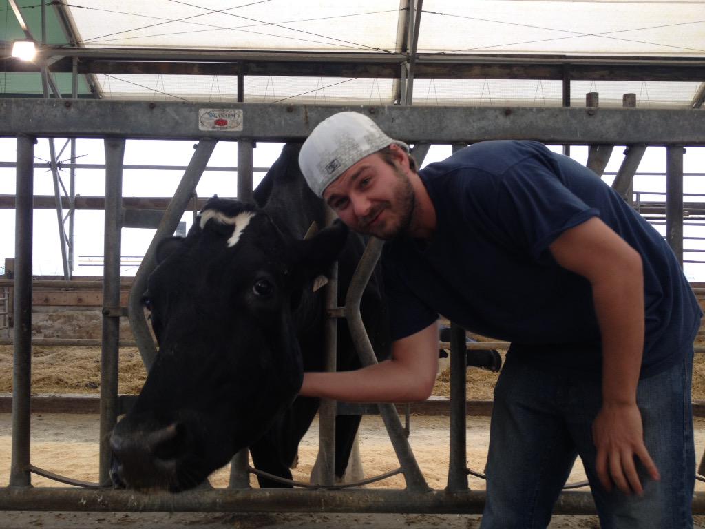 Y108Rocks's tweet photo. Friendship is magic @CranstonFarms #chrisZ #milkingaCow @ChrisZradio http://t.co/uj6FzLIn3O